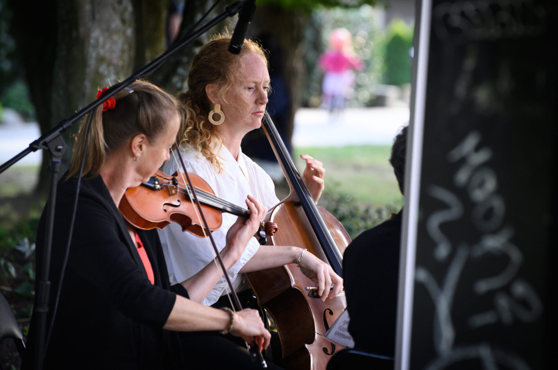 Microcosmos Quartet sitting at the park and playing string instruments.